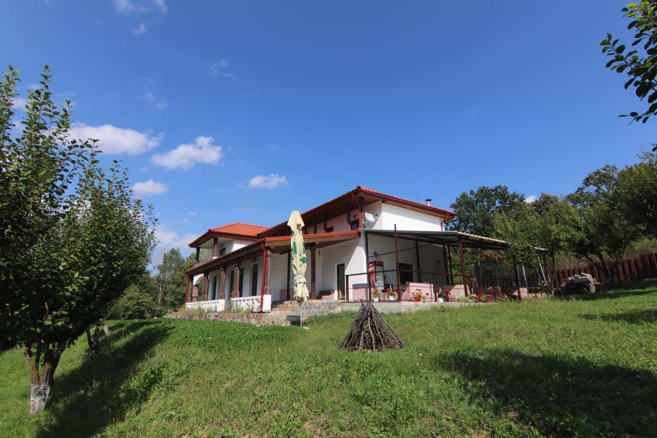 Pensiunea Emelys, Iasi Barnova Exterior photo