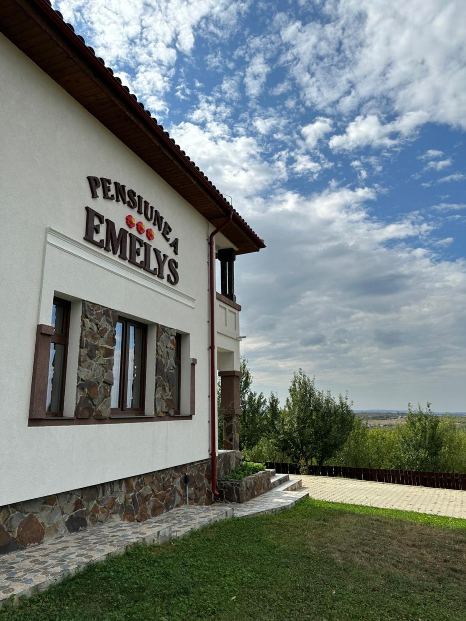 Pensiunea Emelys, Iasi Barnova Exterior photo