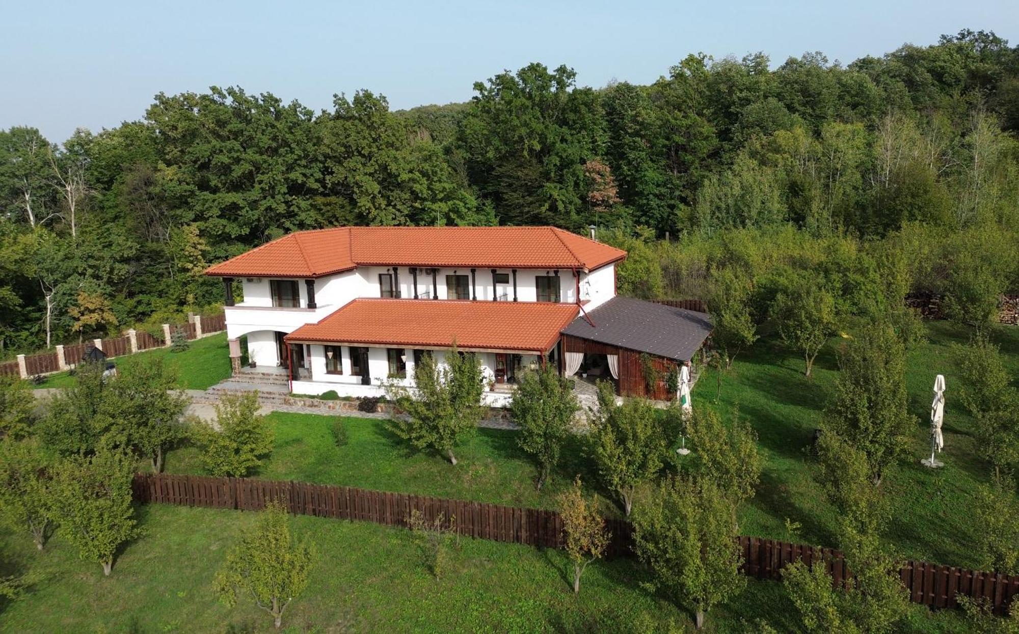 Pensiunea Emelys, Iasi Barnova Exterior photo