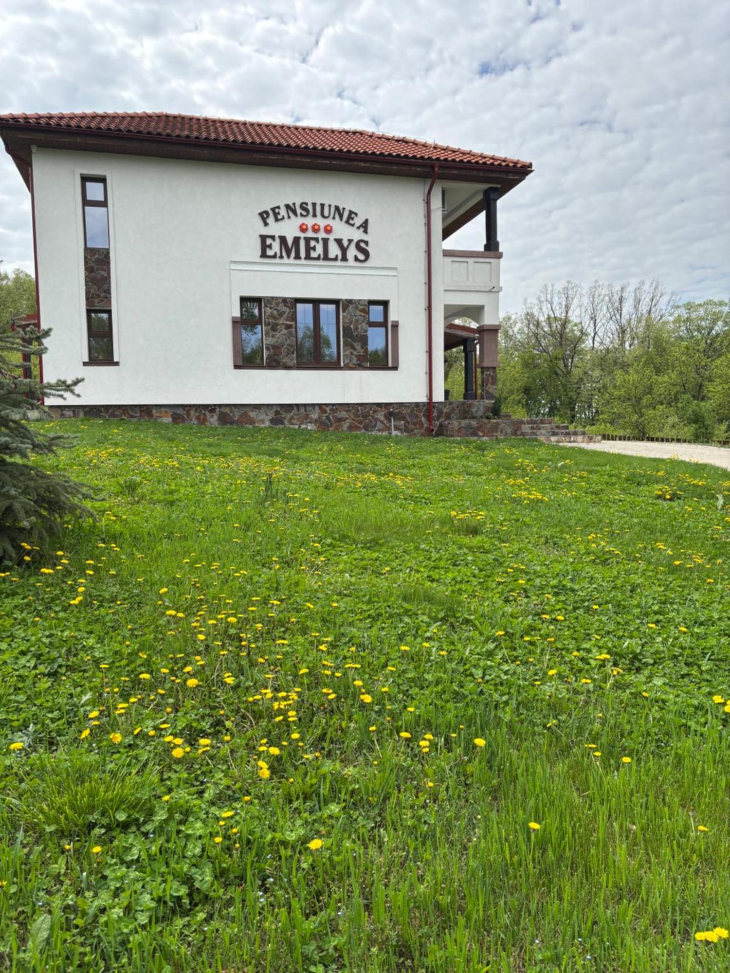 Pensiunea Emelys, Iasi Barnova Exterior photo